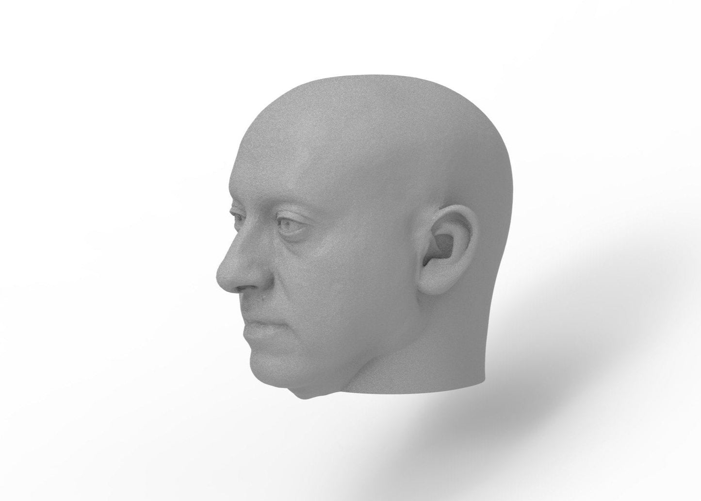 Optic driver head - Reef